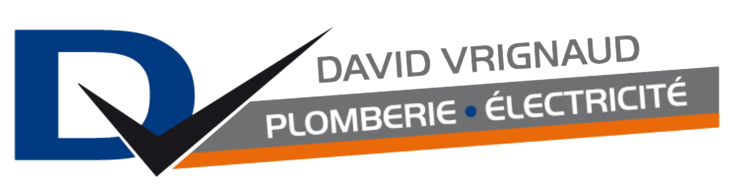 Logo vrignaud David