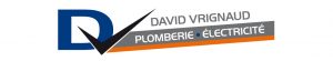 logo david vrignaud